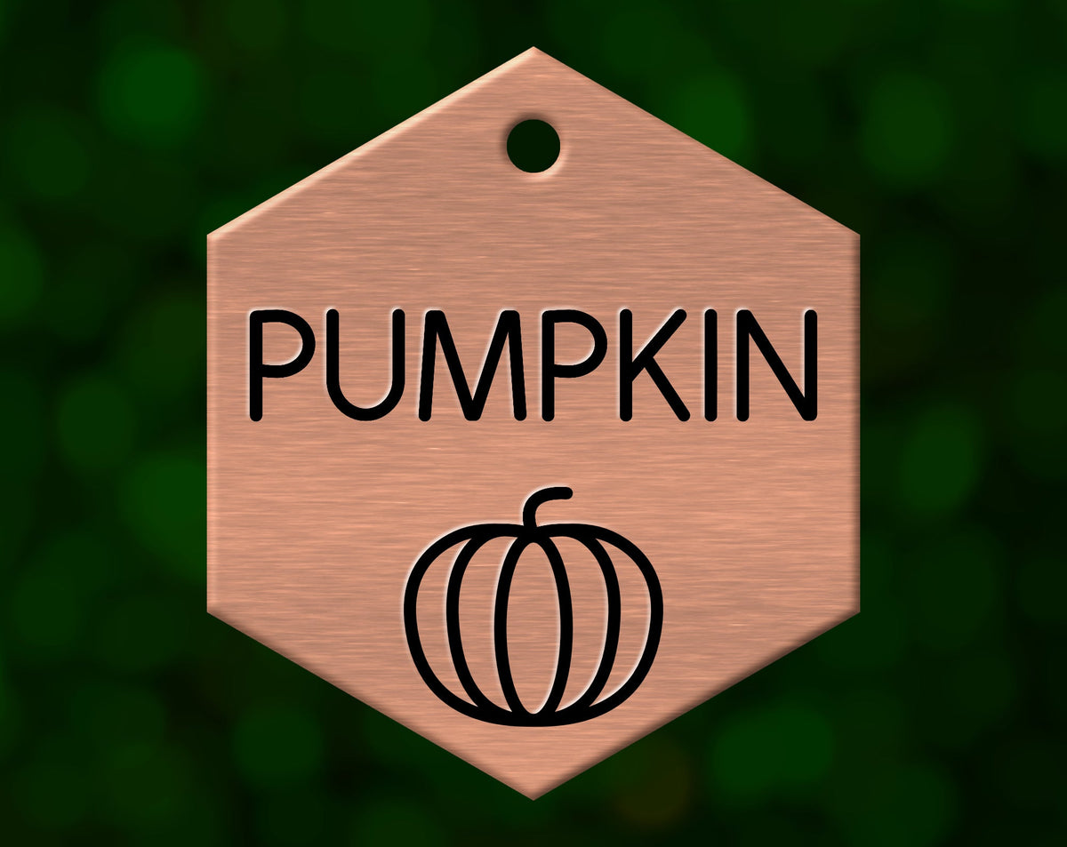 Pumpkin Dog Tag (Hexagon)